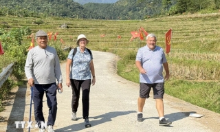 Việt Nam lọt nhóm top 10 quốc gia đáng sống nhất thế giới đối với người nghỉ hưu